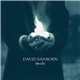 David Sanborn - Inside